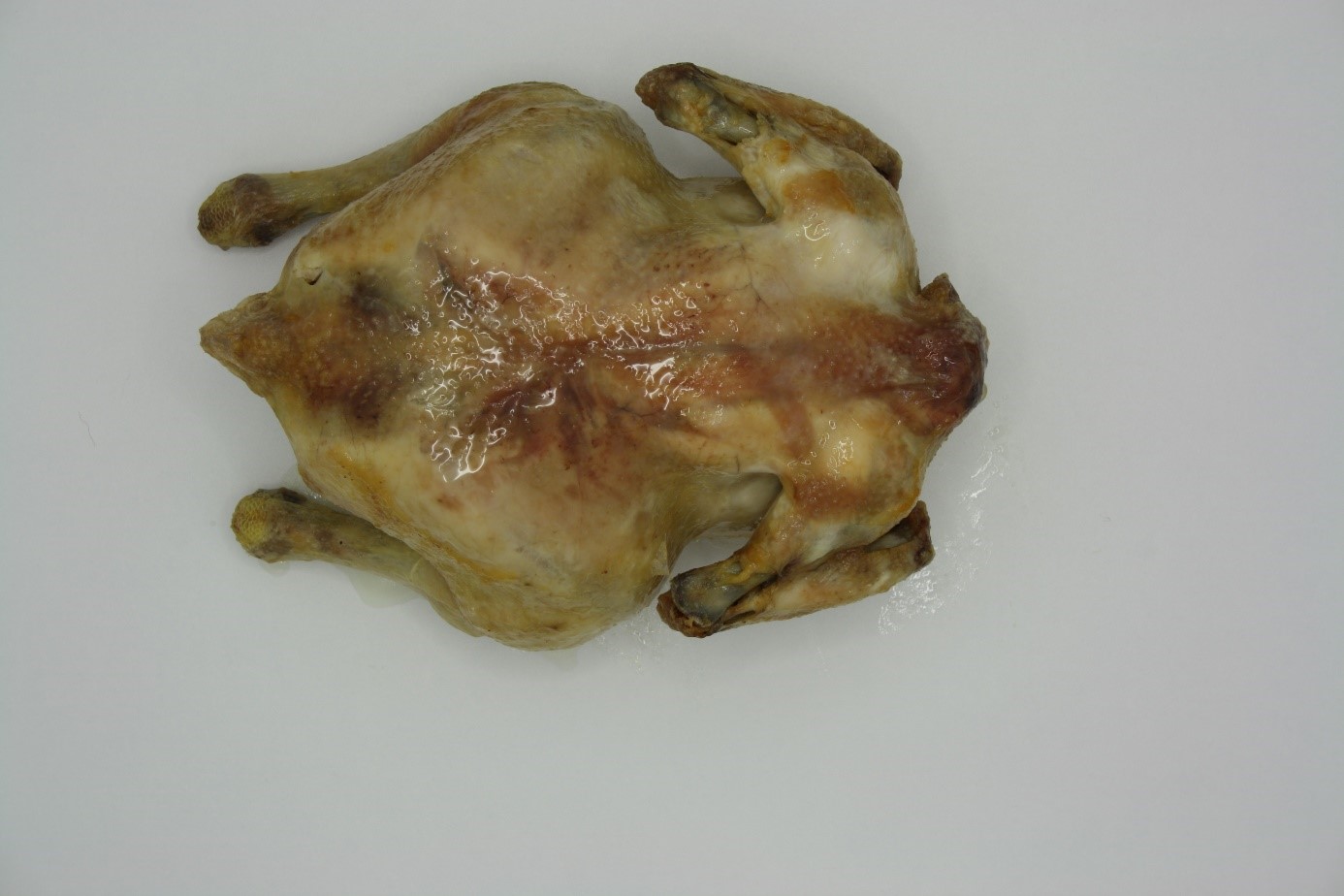 Geslaagde test kip bakken in microgolfoven